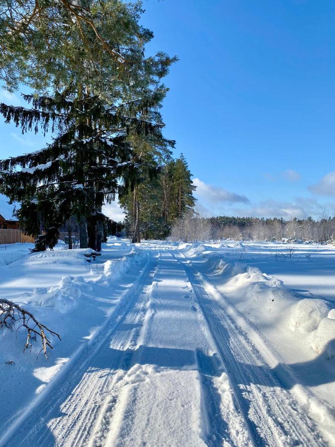 Caloroczne Domy Z Bala - Casa Del Czyzyk Serwy Exteriör bild